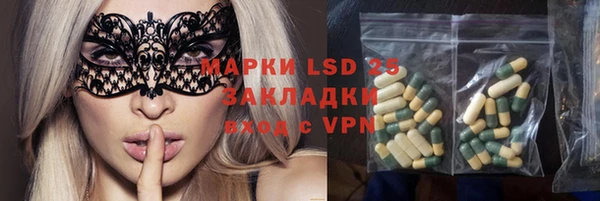 ECSTASY Алзамай