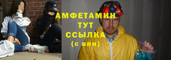 ECSTASY Алзамай