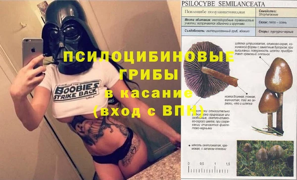 МДПВ Алексеевка