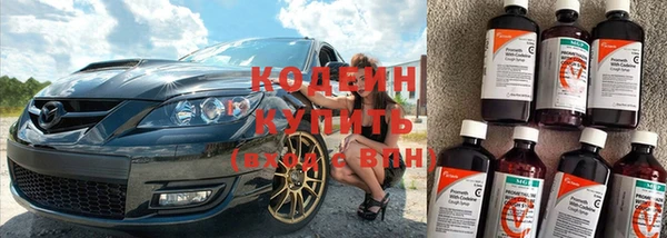 ECSTASY Алзамай