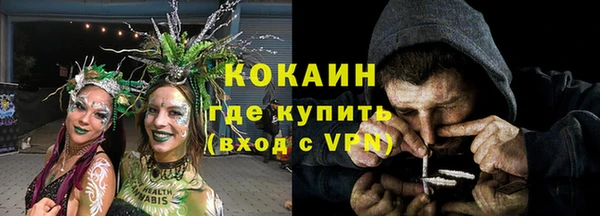 гашик Аркадак