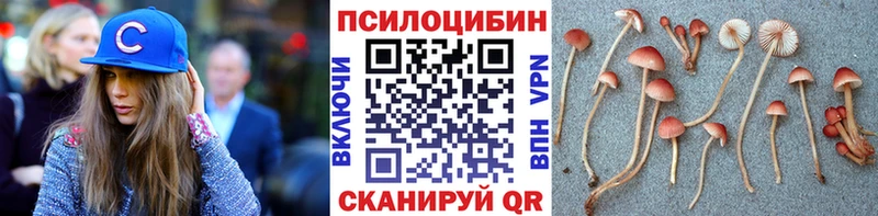 Галлюциногенные грибы мухоморы  продажа наркотиков  Черемхово 